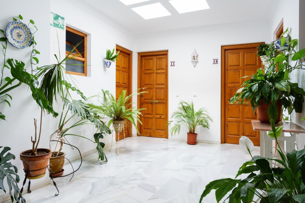 Apartamentos Pepe Mesa Нерха Экстерьер фото